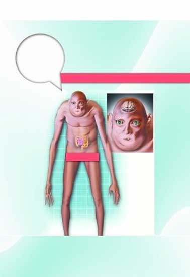 什么样的股票才能被称作是 基本面好 ?-股票的