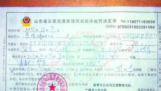 开车买菜被罚图片
