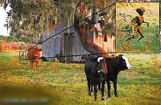 世界各地惊现吸血怪兽 世上真的有吸血鬼吗