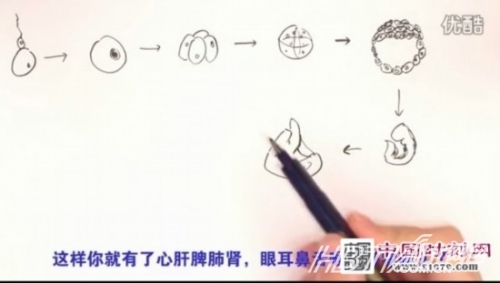 一分钟性教育短片图片