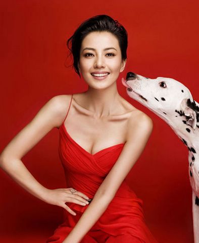  高圆圆 登封面杂志  女神 家居照如此风骚-房产频