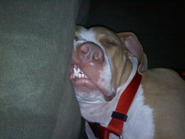 爆笑 ( 1 /15) 发布时间:2012-06-06 10:56支持方向键←和→浏览 查看