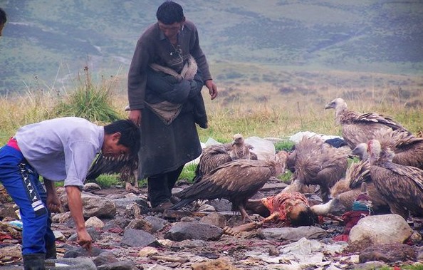 心脏病慎入 实拍天葬全过程(27/39)